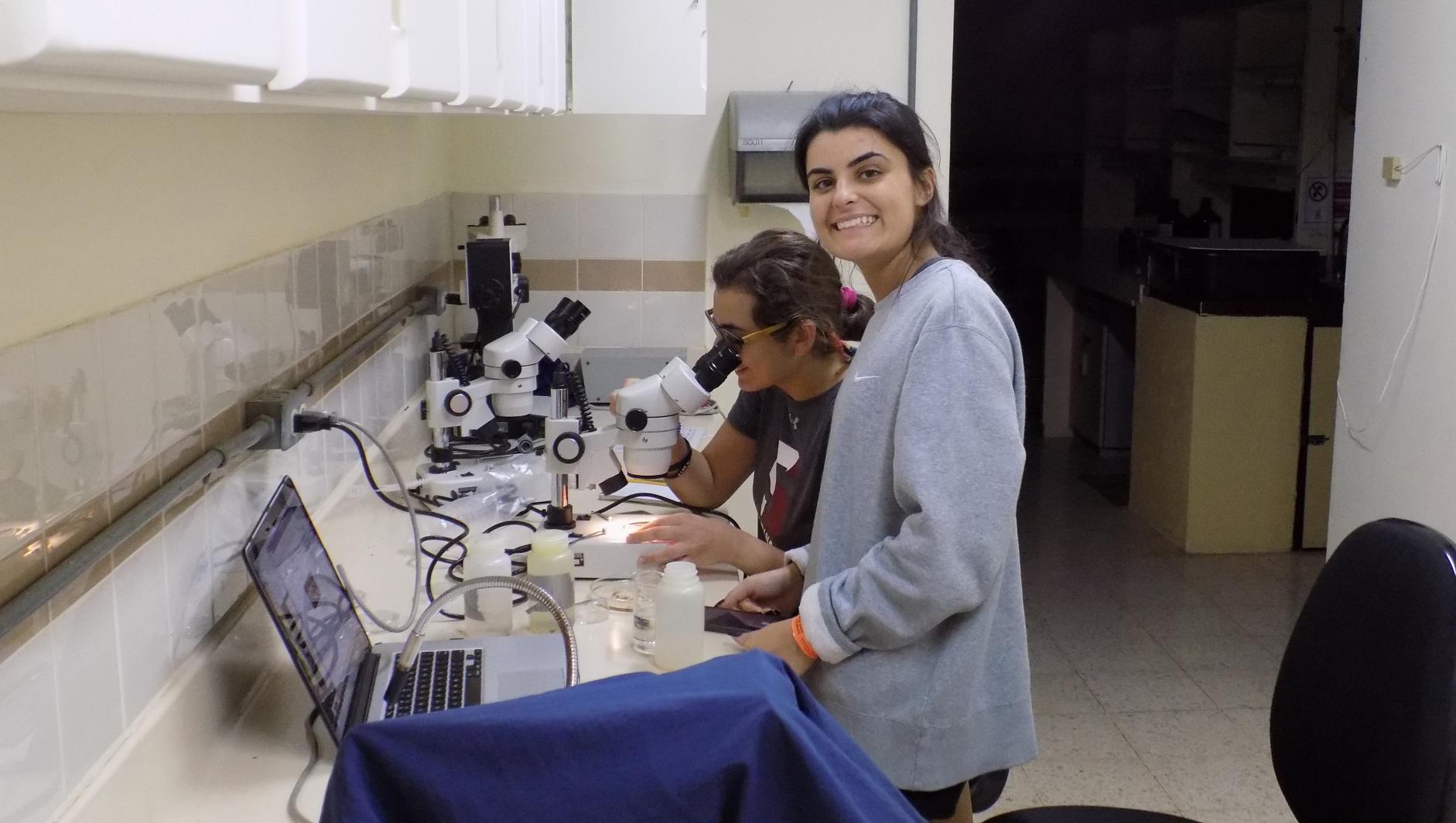 Students collecting in a lab
