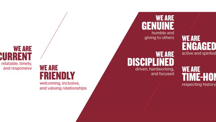 Springfield College color scheme