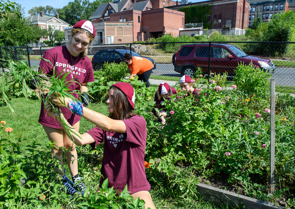 Students gardening at Humanics in Action Day