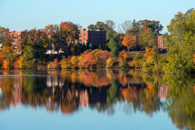 Foliage at Springfield College